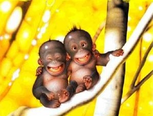 TOI , MOI C'EST PAREIL